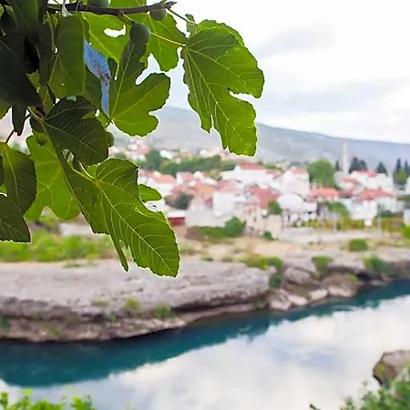 Star Mostar